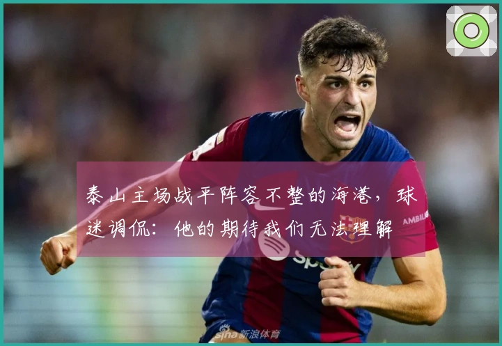 泰山主场战平阵容不整的海港，球迷调侃：他的期待我们无法理解